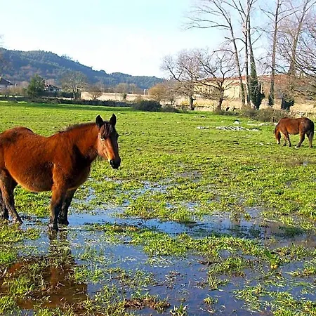 호텔 Rural En Las Solanas