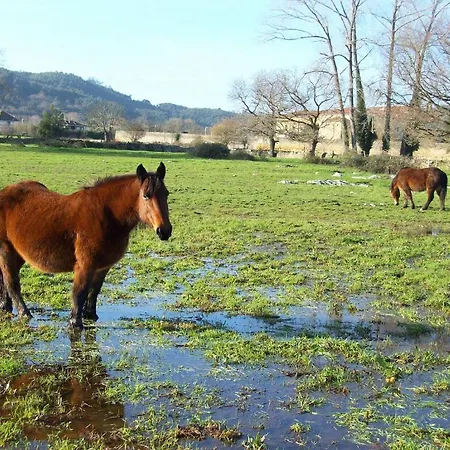 Rural En Solanas