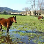 Rural En Las Solanas
